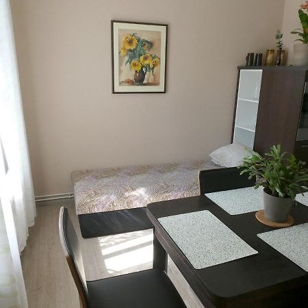 Apartmán Mařenka Nove Mesto na Morave Kültér fotó