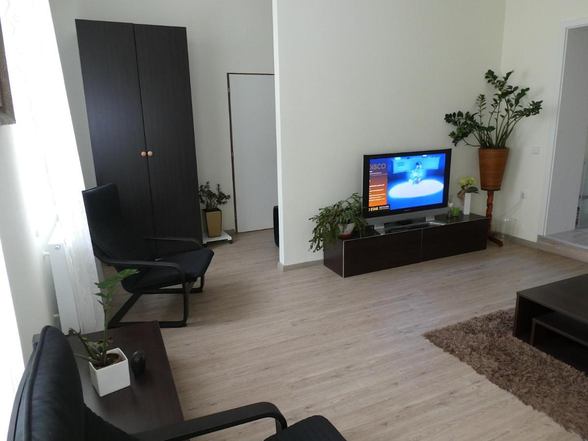 Apartmán Mařenka Nove Mesto na Morave Kültér fotó